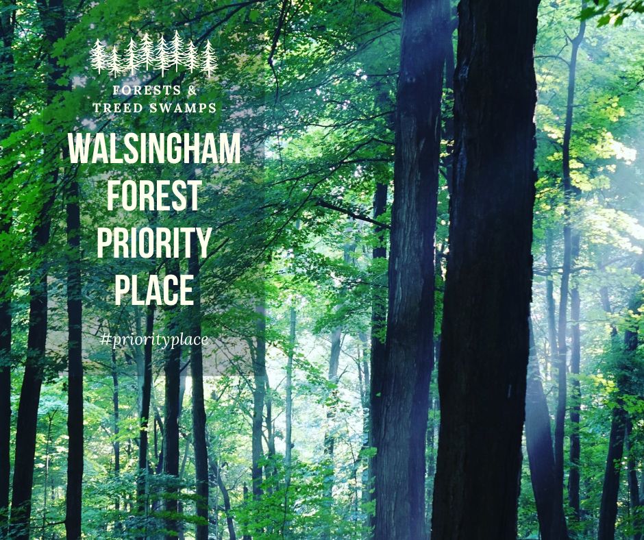 Long Point Biosphere tweet media