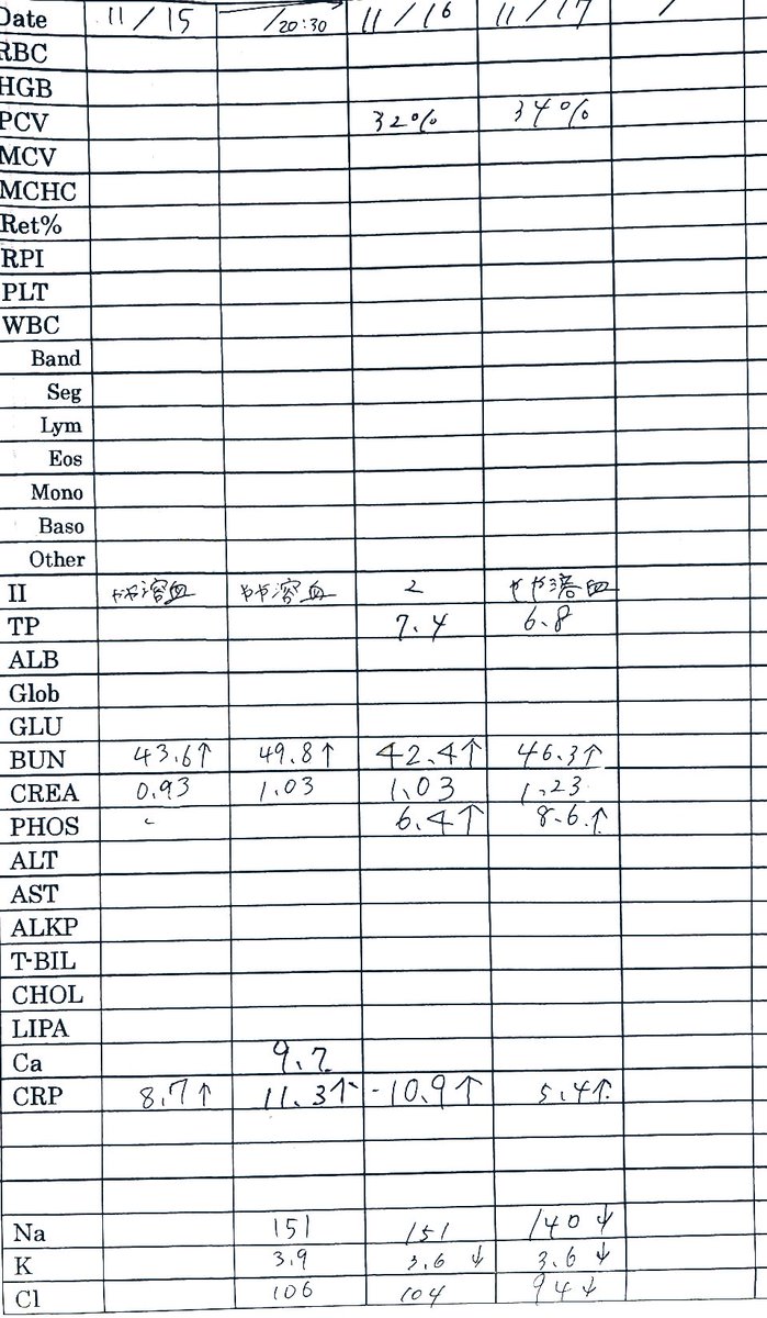 少し回復して来てくれて神に感謝！