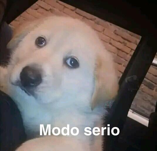 MariaCarlalvar1's tweet photo. Pregoneros en Cuba, historias, abro hilo👀
Pasan comprando cualquier pedacito de oro
Yo toda comediante le saco mis pulsitos de tela
El tipo: https://t.co/mjALxCVrjj
