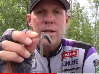 Bass Fishing Tips tweet media
