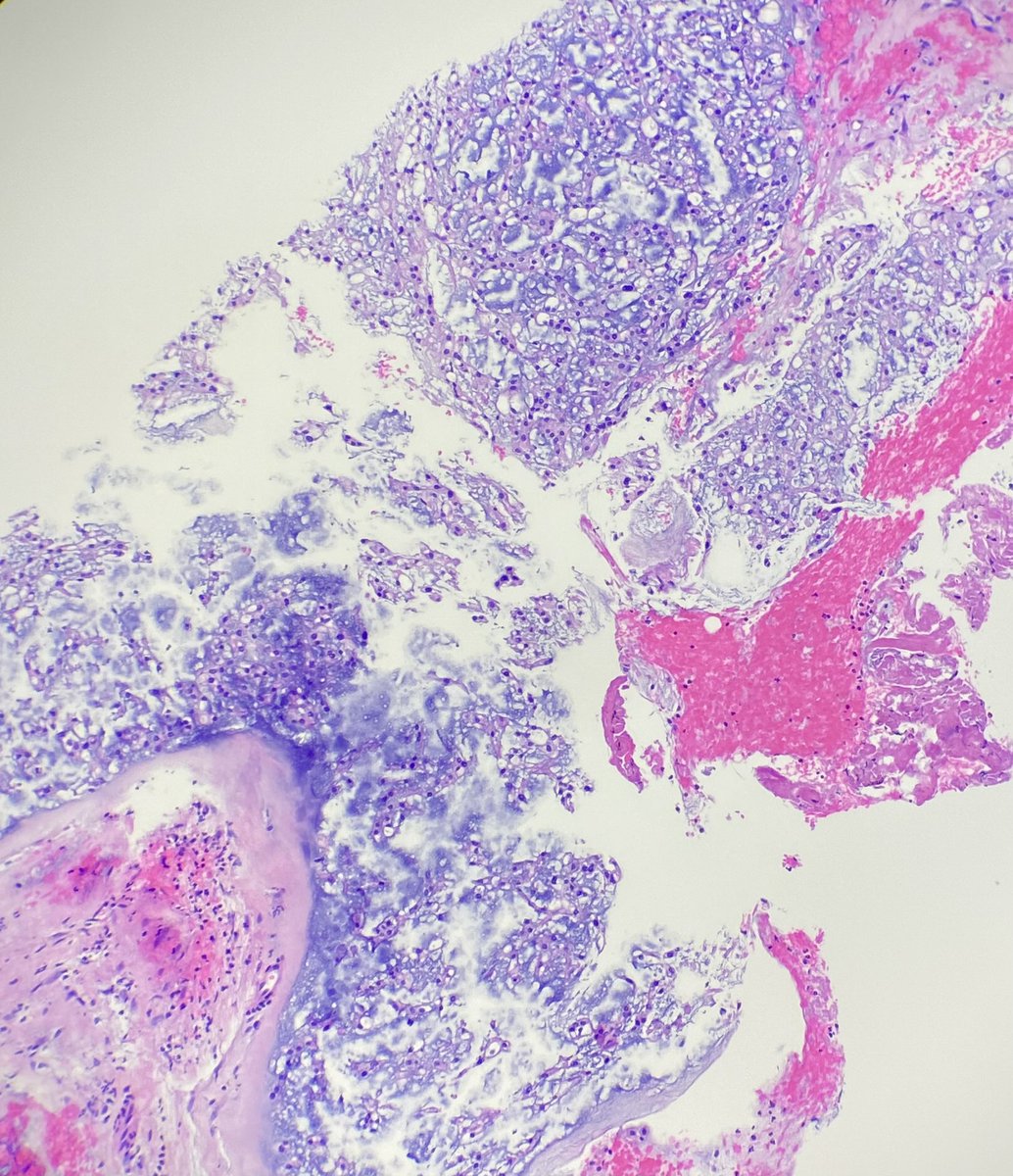 Annie Garcia tweet media