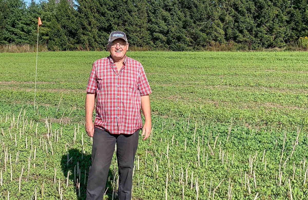 WellingtonAdvertiser tweet media