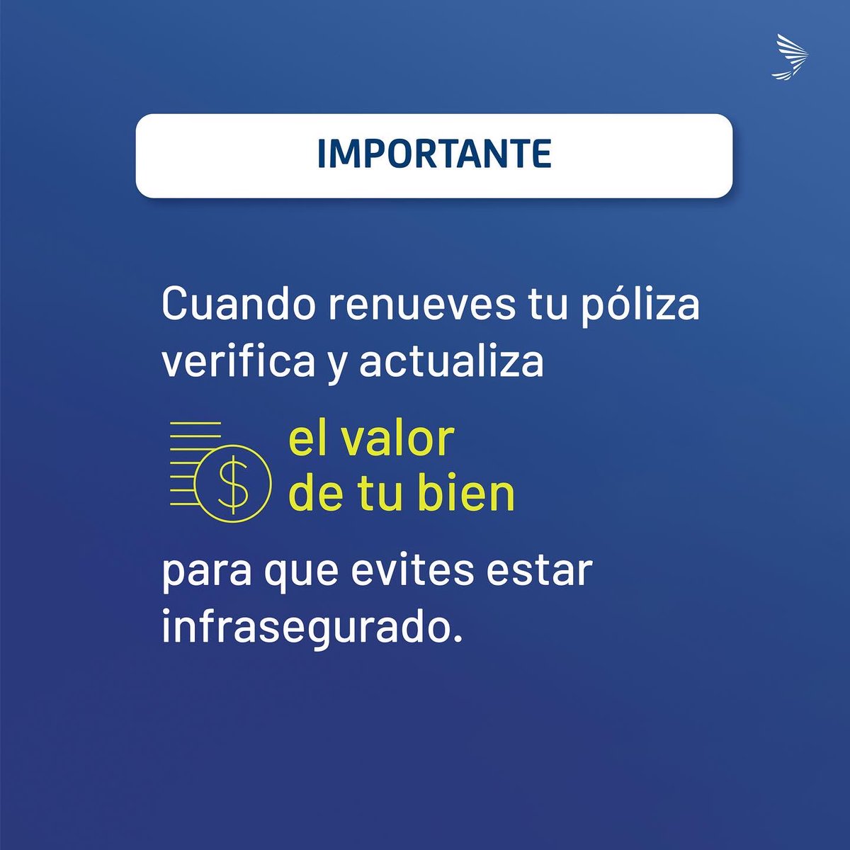 ¿Alguna vez has escuchado el término infraseguro?🤔

#AsegúrateDeAprender con nosotros y conoce los distintos términos del mundo del seguro con nuestro profe 👨‍🏫 🙌🏻.

➡️Desliza y conoce más. 

#SegurosSura #SURARD #Infraseguro