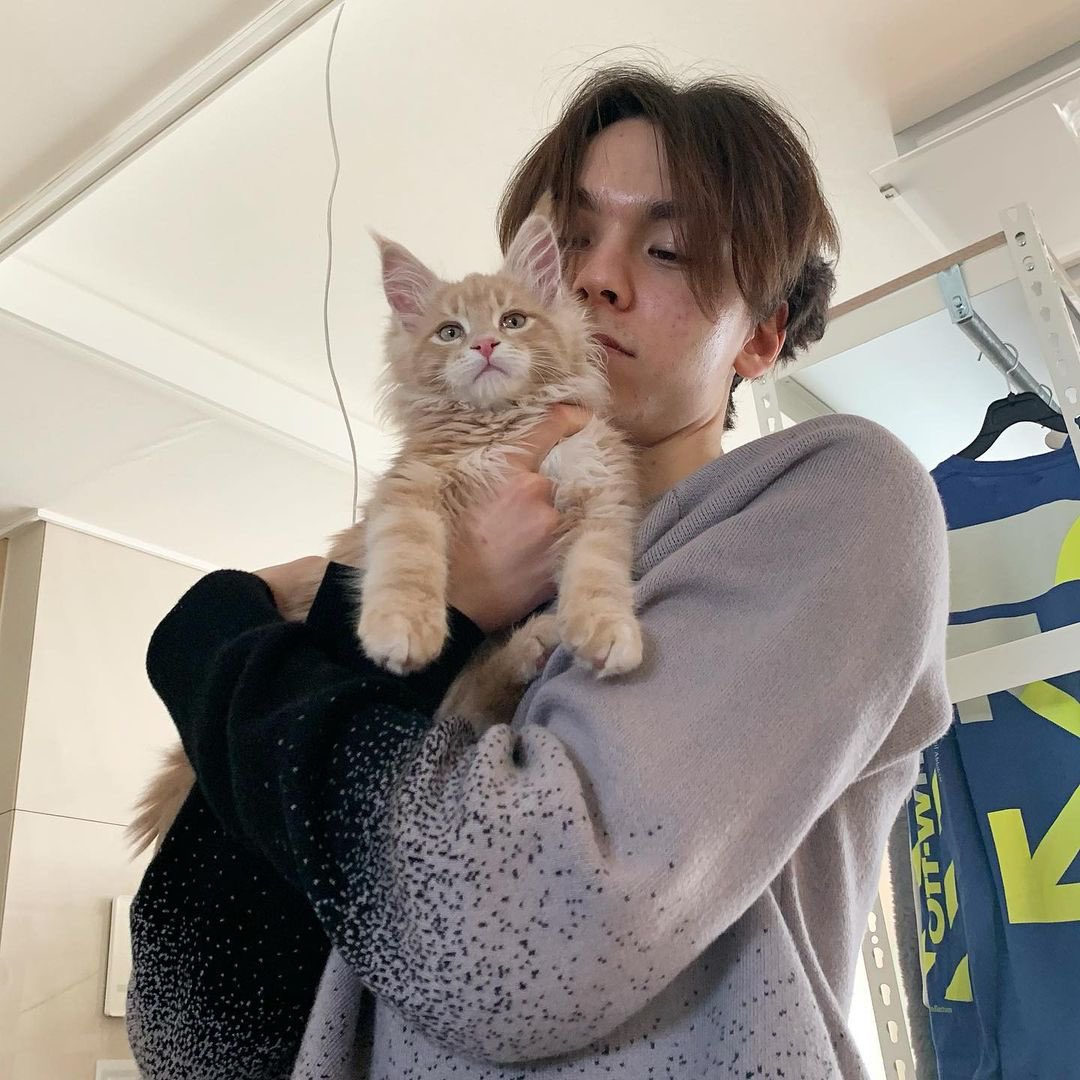 vernon content tweet media