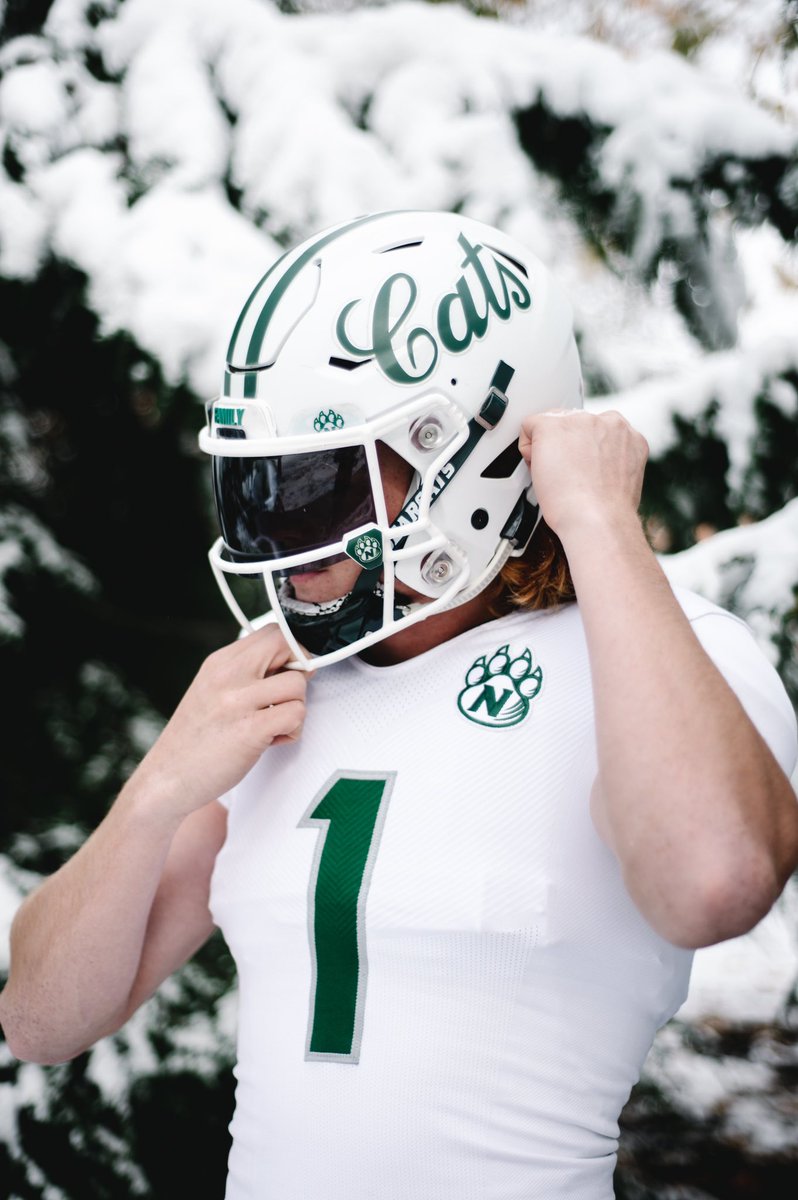 Cooler than the other side of the pillow🥶

#GoCats