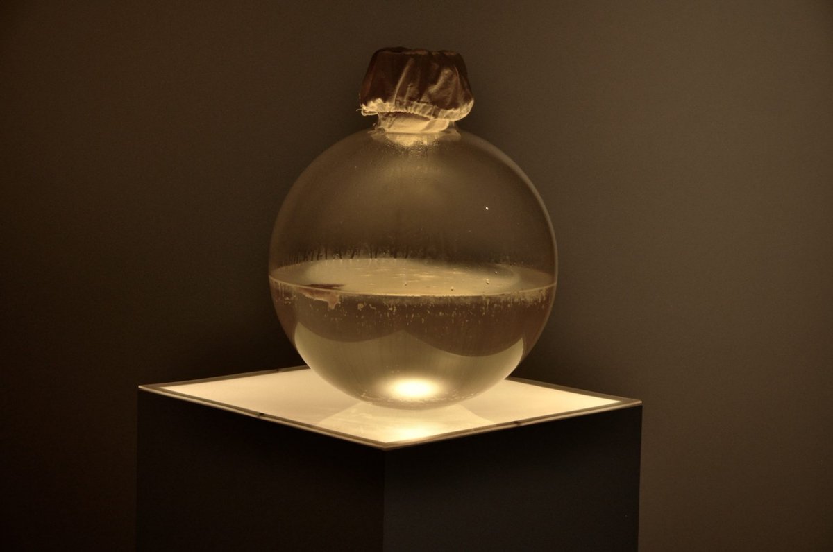 MOCA (@MOCAlosangeles) / Posts / X