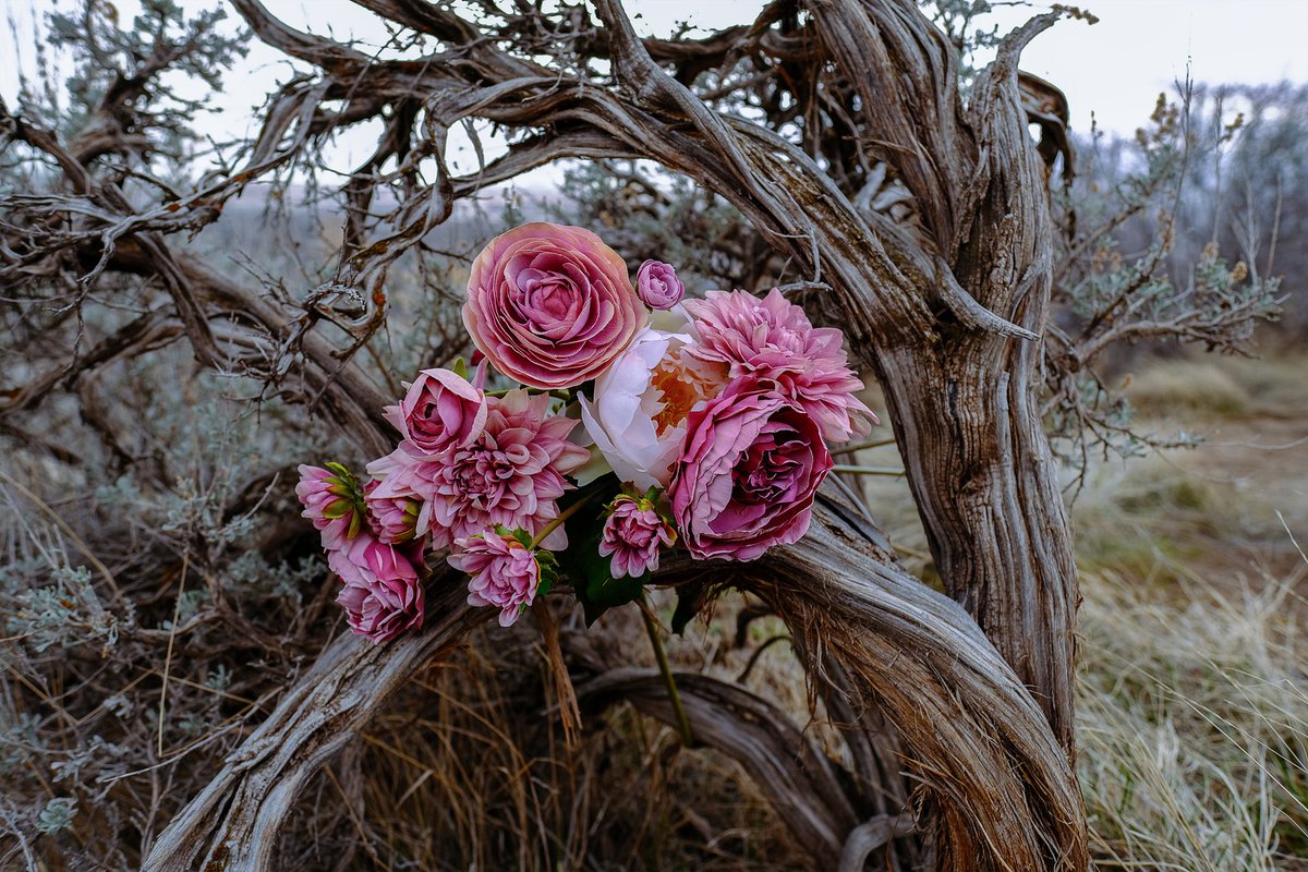 From the series, The Ontology of a Terrain, Becca Screnock works with landscapes in drought, embedding vibrant artificial objects within the dry terrain, to emphasize its fragility, and her own feelings of seclusion.

View more: bit.ly/3V7nSlq

#unnaturalcycles #NYarts