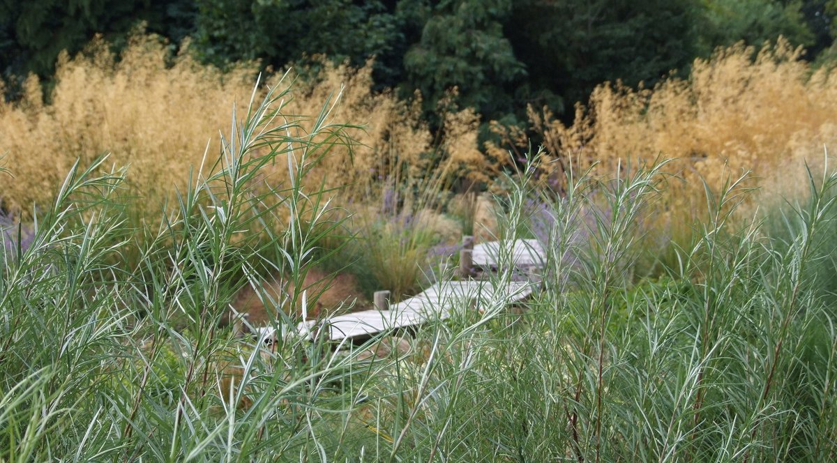 MLaurenceDesign's tweet image. Following my talk at Futurescapes about how the landscape and horticulture professions could be a positive and regenerative force, I thought I&apos;d repost this.

#horticulture #landscapedesign #landscapeconstruction #landscapearchitecture #gardendesign

marklaurence.com/wp/a-new-horti…