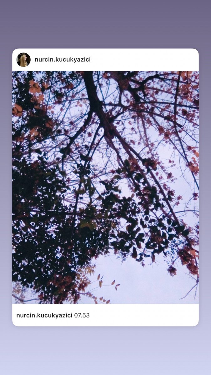 Zamanı geriye döndürmek üzere ardımızda bıraktığımız işaretlerin içinden en sevdiğimdir fotoğraflar.. 07.53’te çektiğim ağacın altında kulaklığımda çalan şarkıyı bugün bile hatırlamam başka türlü nasıl açıklanırdı.