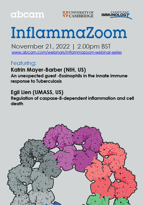 Clare Bryant (clarebryant@bsky.social) tweet media