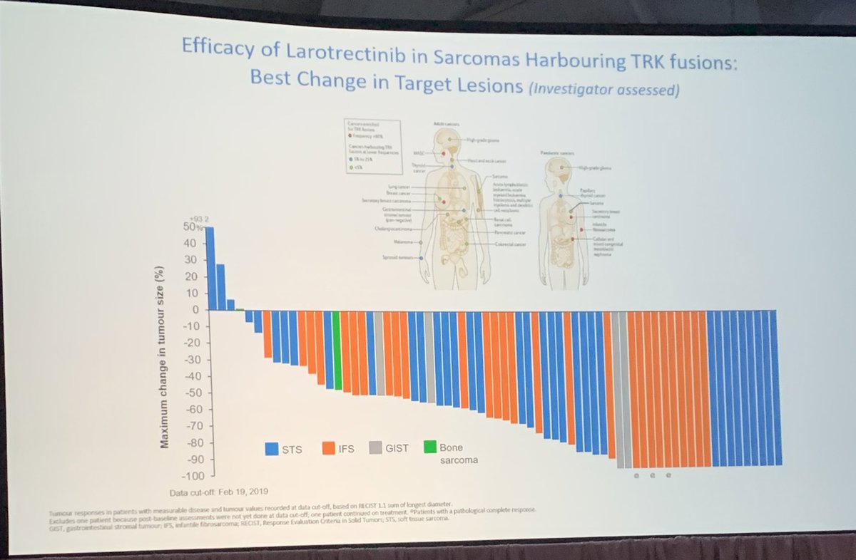 JTrentMDPhD's tweet photo. @jeanyvesblay : all #sarcoma patients should be managed at expert centers, all #sarcomas should undergo #NGS for example: NTRK @ctosociety #CTOS2022 #CTOS22 @OncoAlert https://t.co/uLNcemaOjG