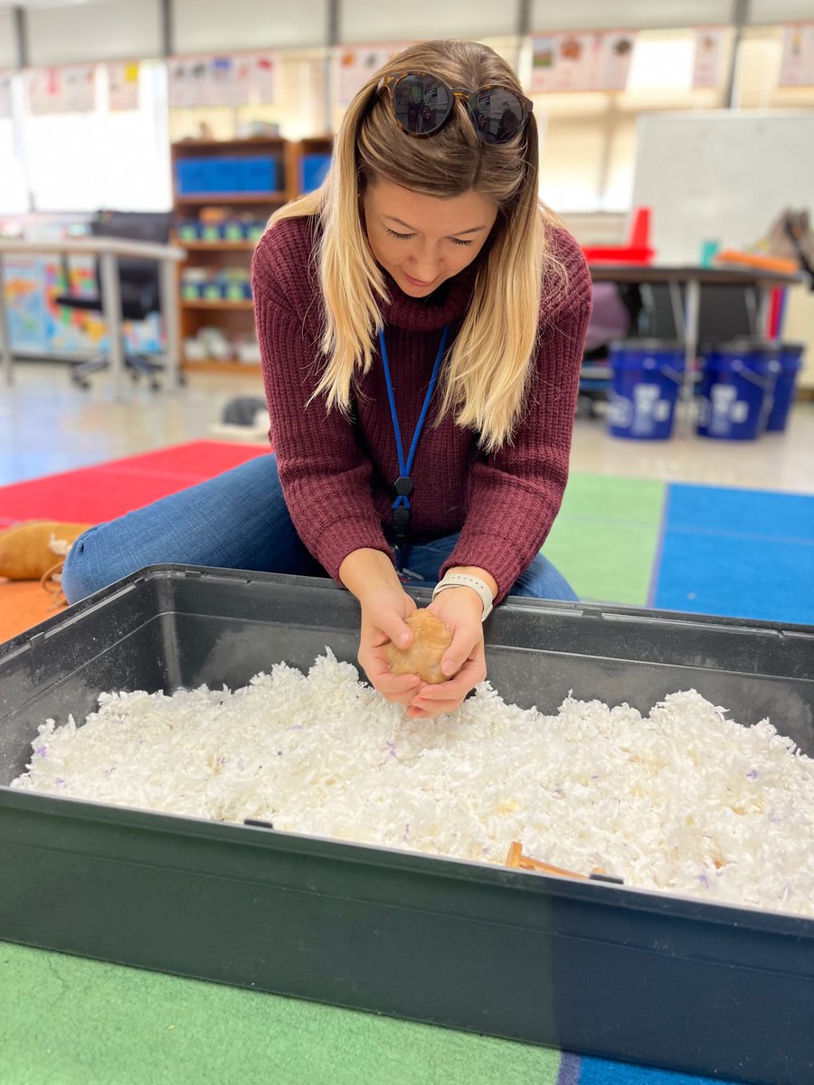 Ms. Beth Reilly tweet media