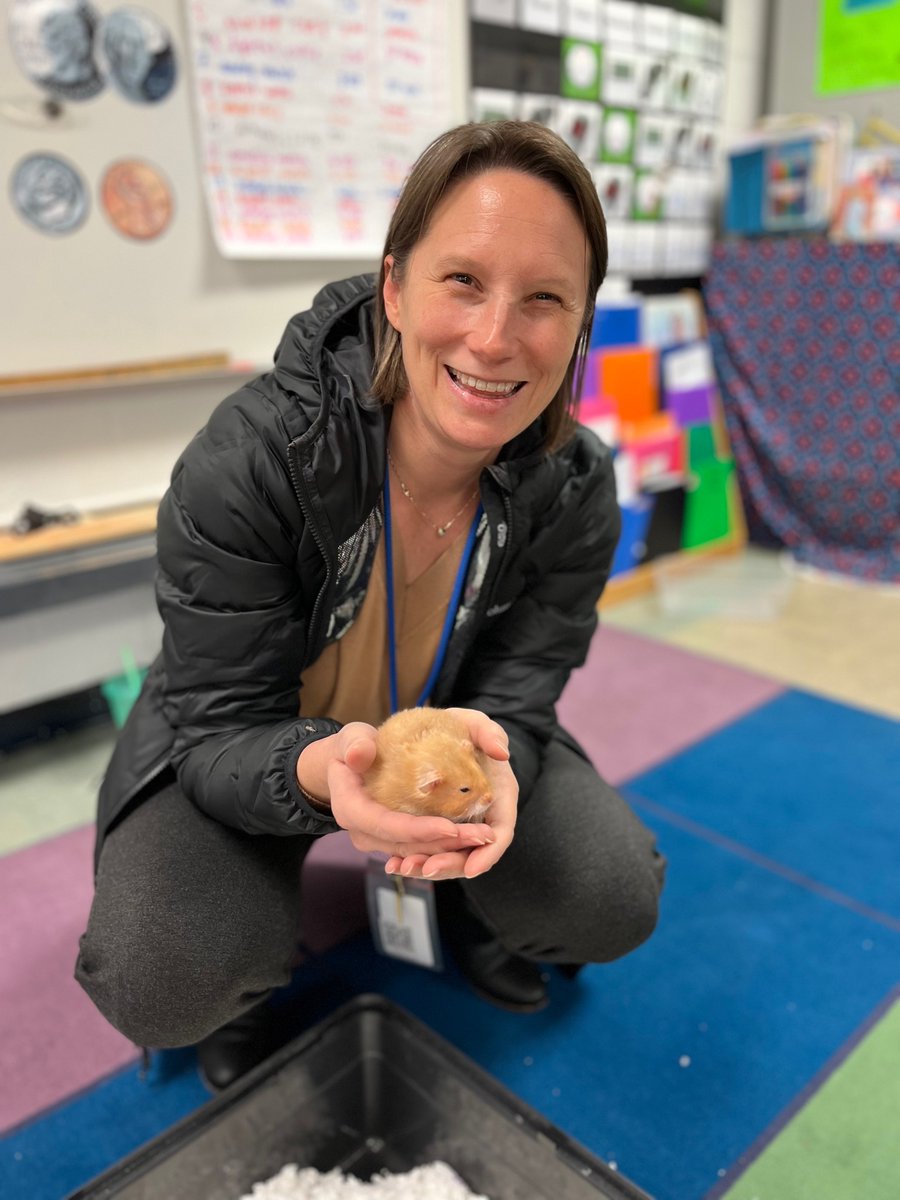 Ms. Beth Reilly tweet media