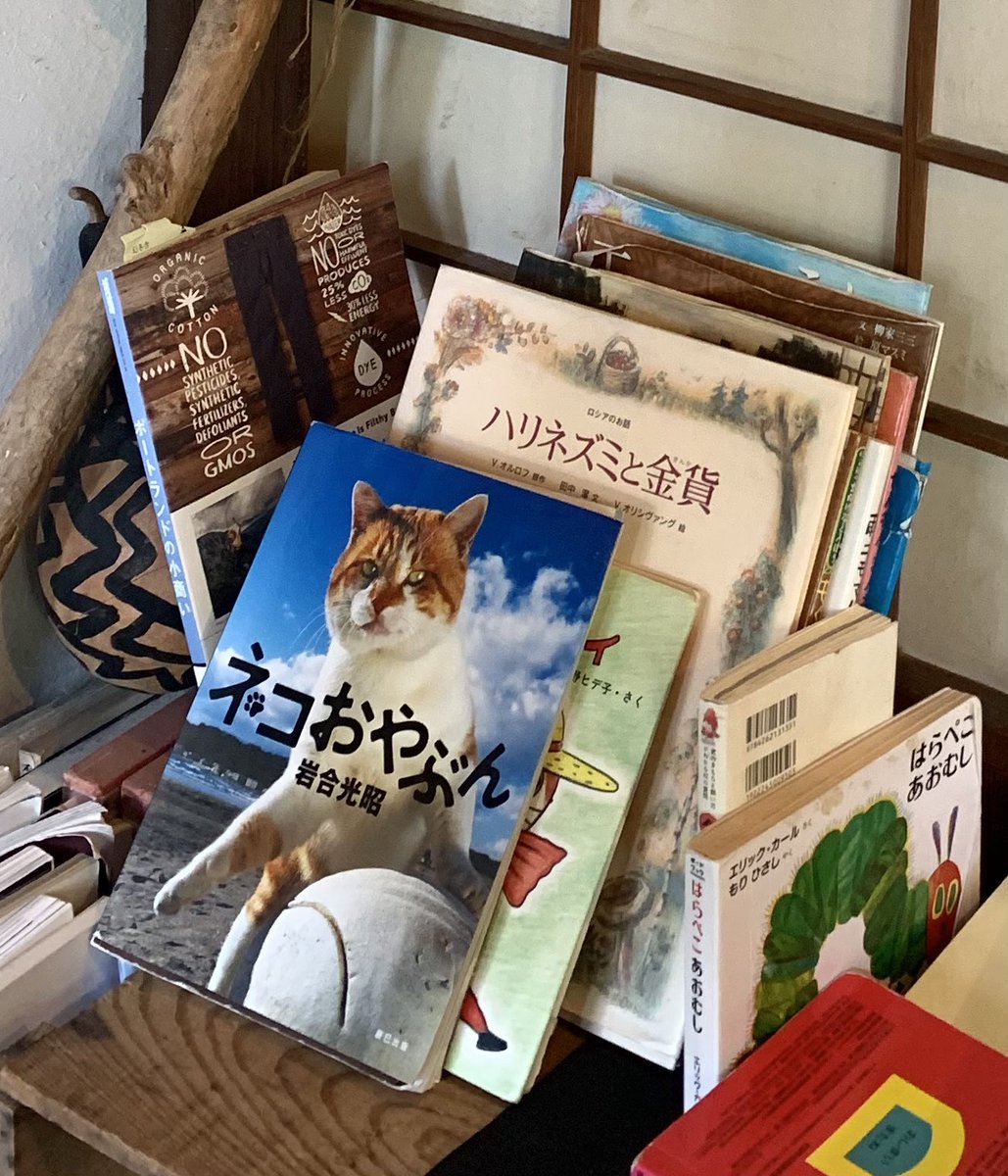 myao_my1's tweet image. #charmybook 

岩合さんの「ネコおやぶん」で
おはようございます🐈よい一日を

 #緊急事態条項に反対します
#岩合光昭