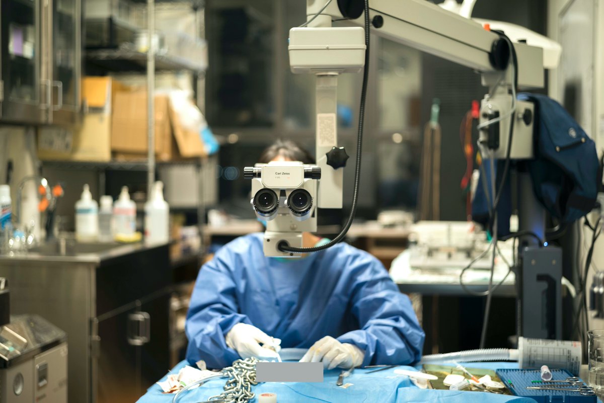 Dr. Fei Fang <a href="/Fei_FeiFang/">Fei Fang</a>, a postdoc trainee <a href="/ThomopoulosLab/">Steve Thomopoulos</a>, is starting a new journey as an assistant professor <a href="/IcahnMountSinai/">Icahn School of Medicine at Mount Sinai</a>. Fei studies the regeneration of musculoskeletal tissues, with a focus on tendon, ligament, and meniscus. 
Photo: <a href="/YangXiaoBME/">Yang Xiao</a> 
#ColumbiaBMEMoments
