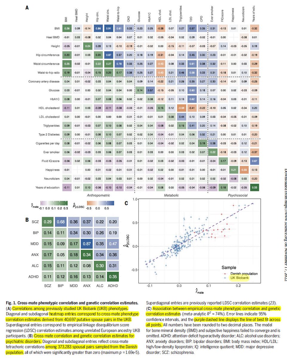 westr's tweet image. Oh my!!
Cross-trait assortative mating is widespread and inflates #geneticcorrelation estimates science.org/doi/10.1126/sc… 

Potential bias in genetic correlations science.org/doi/10.1126/sc… #Genetics #Genomics #GWAS #Pleiotropy #Psychiatry