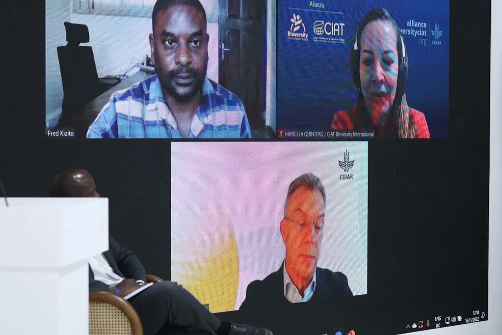 CGIAR's tweet photo. CGIAR's @KropffMartin @MarceQuinteroT @c_fadda Mandla Nkomo and Fred Kizito presented 4 Initiatives on climate-friendly food systems at the #COP27 #FoodAgPavilion. 

📺 Watch: https://t.co/xABubAE2u4 
🔗 Read: https://t.co/ZiTrIVgywt 

#OneCGIAR @BiovIntCIAT_eng @IITA_CGIAR https://t.co/oKiHfinYDN