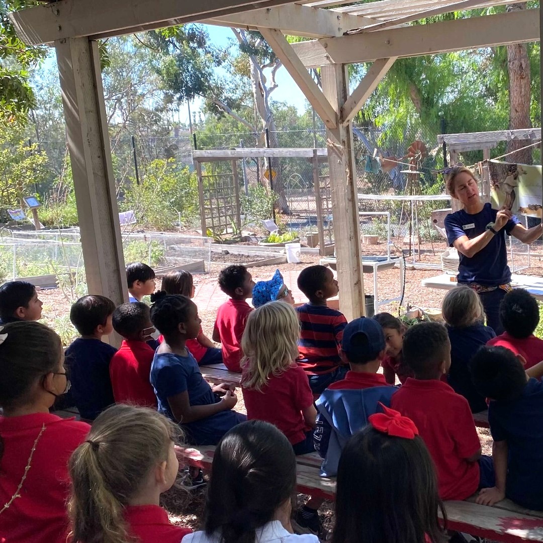 GroundEducation's tweet photo. Do you think storytime is best read outside? We do 🙋♀️
Ms. Cricket reading to students at Los Cerritos in their beautiful garden 📖
.
.
.
#GroundEducation #GardenLesson #SchoolGarden #UrbanGarden #Community #Nature #Think #Explore #Connect #LBUSD #LongBeach https://t.co/ixEtLMtqKQ