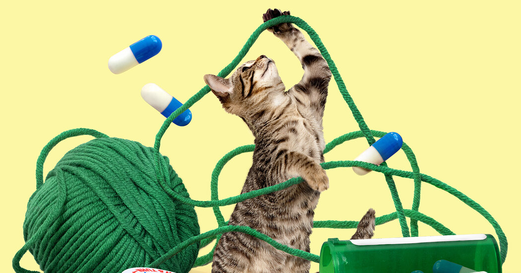 Tweet by Tufts | Cummings School of Veterinary Medicine