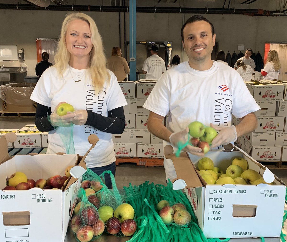 Joseph Gianni tweet media