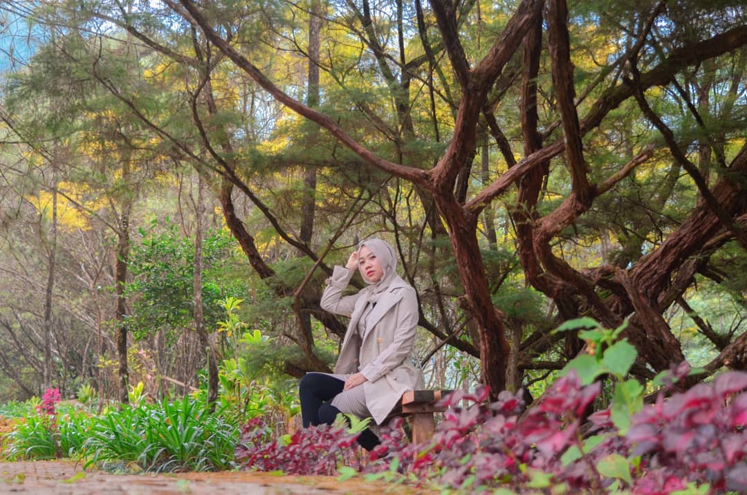 Mau liburan di puncak tapi pengen yang banyak spot keren?
Melrimba Garden merupakan taman di Bogor yang menyajikan pemandangan alam alami yang hijau dan memanjakan mata. Di sana kamu dapat jalan-jalan mengitari taman sembari menghirup udara segar🌷

#PuspitaNagari
#programfolback