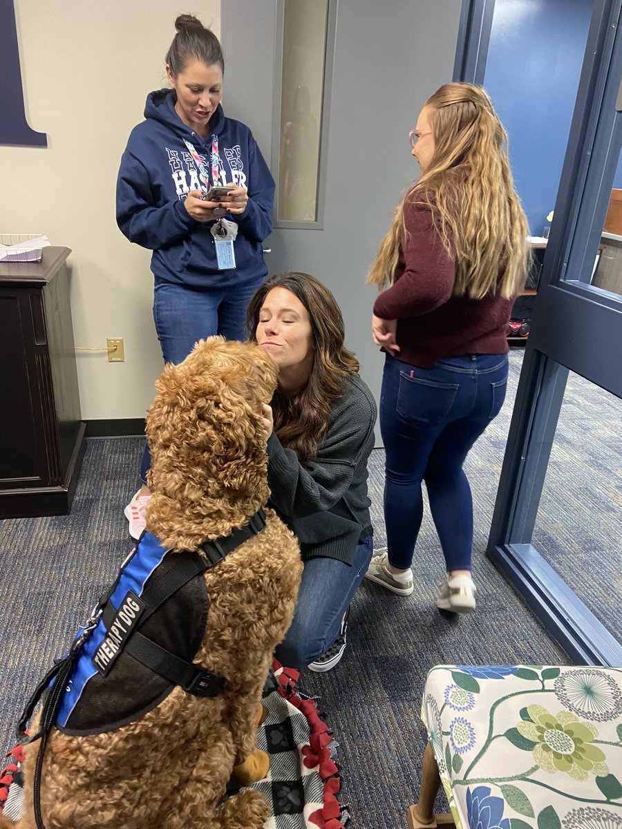 Angel Paws CFBC tweet media