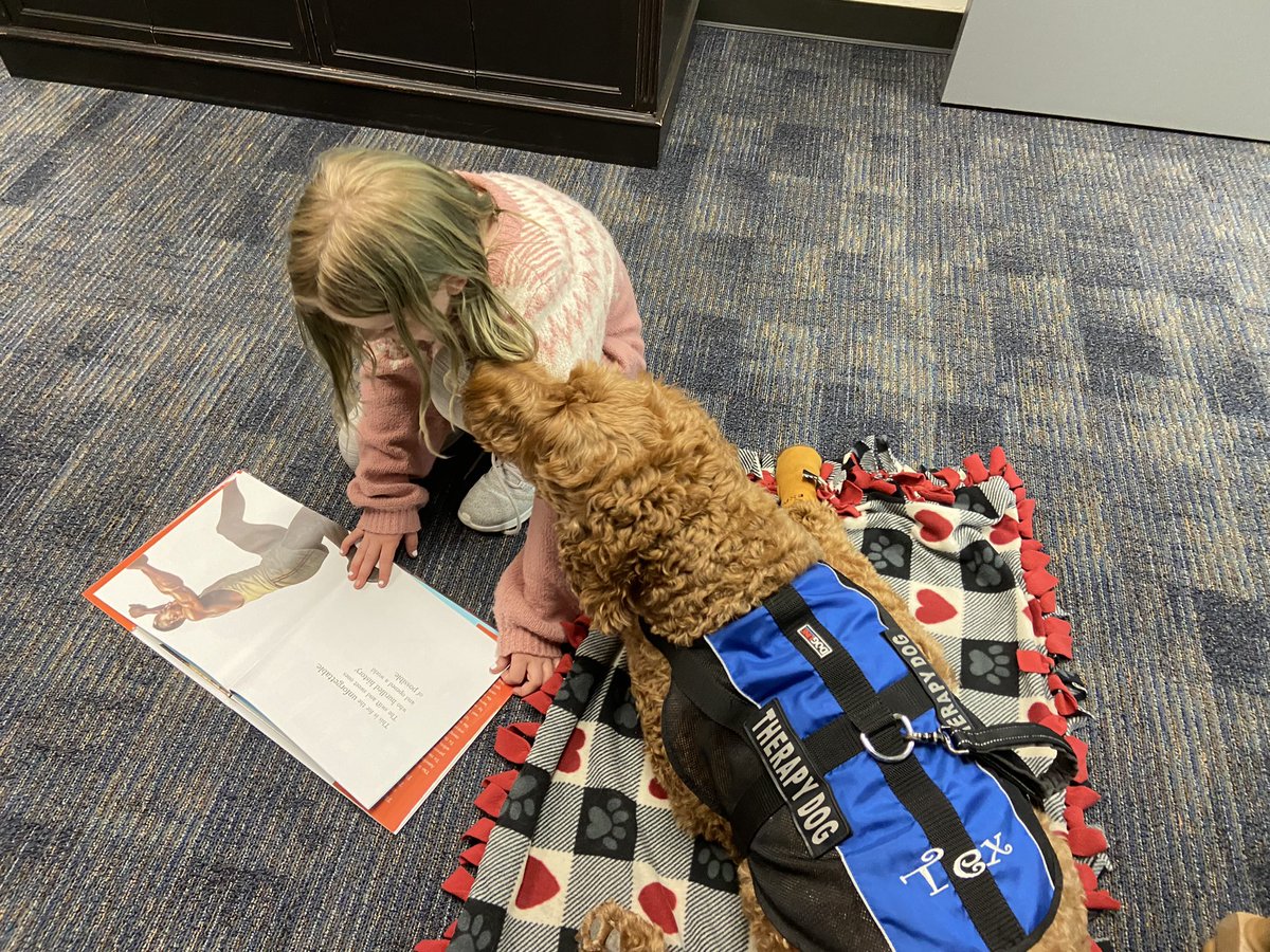 Angel Paws CFBC tweet media