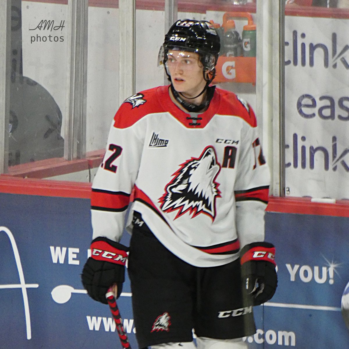 AMHPhotos2018's tweet photo. Overager #12 Tristan Allard of the Rouyn-Noranda Huskies 

10.22.22 #halifax #rouynnorqndahuskies #qmjhl #chl #scotiabankcentre #playerpics #halifaxphotographer #hockeyphotography #ccmhockey #amhphotos https://t.co/Z4n7URPe45