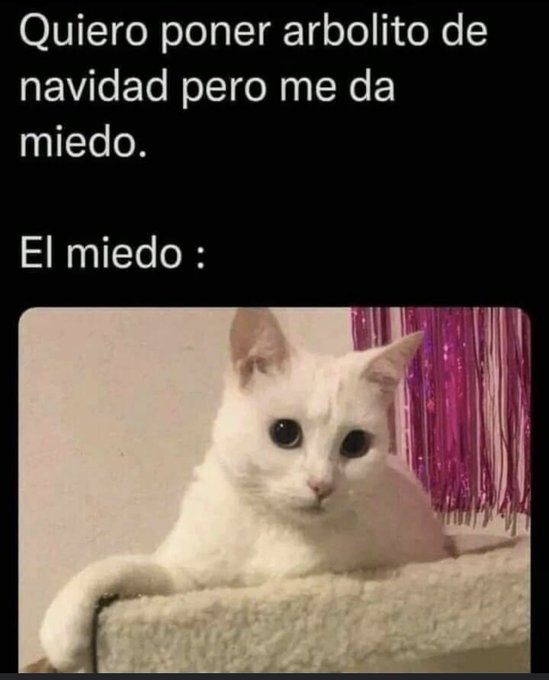 TW Pornstars - Isabelle Goncalves. Pictures and videos from Twitter