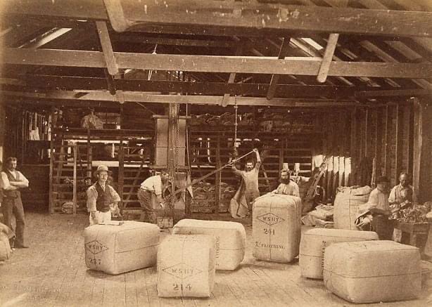 Merino WA tweet media