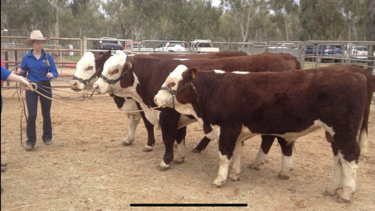 For farmers every day is Ag day. But today is when we proudly show everyone else how important we are. 
Happy #AgDayAU and thank you to all those that feed and clothe us. @NationalFarmers @NTCattlemen