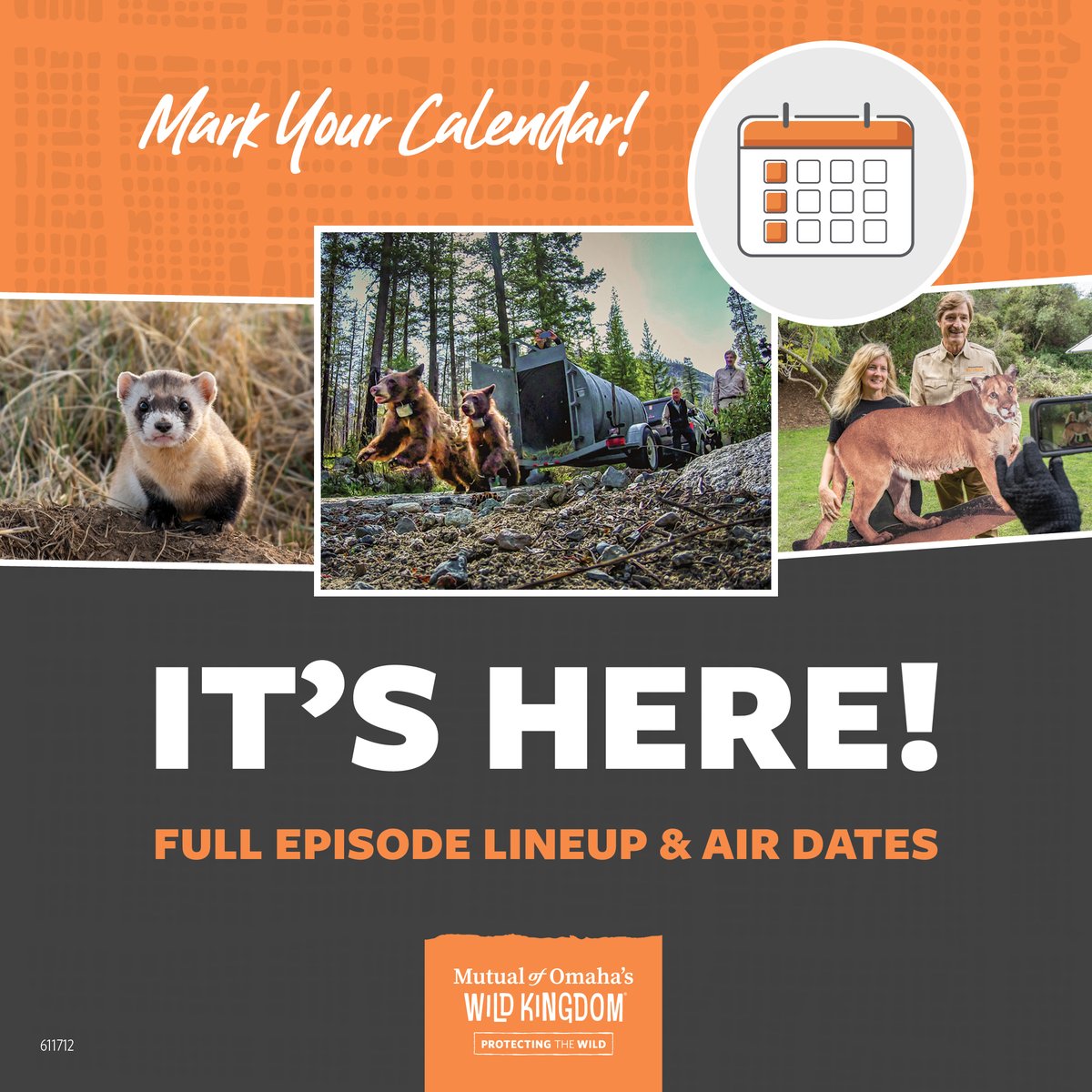 KimKravitz's tweet photo. It’s here! We just launched the full episode lineup including episode names and air dates for Mutual of Omaha’s Wild Kingdom Protecting the Wild. Check it out and mark your calendars: https://t.co/MnUhGUPdLO https://t.co/yuKa9XgYKq