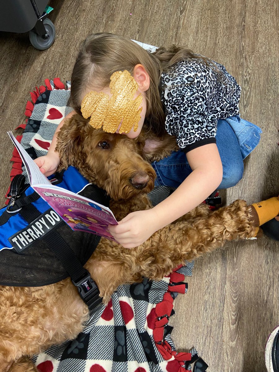 Angel Paws CFBC tweet media