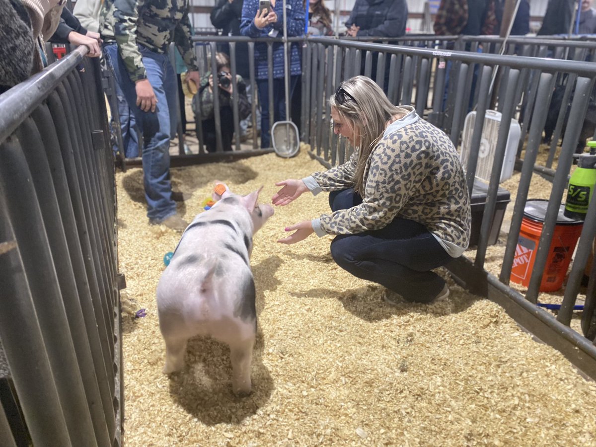 Justin_D_James's tweet photo. If your principal isn’t kissing a pig, they’re not doing it right! 🐽 🐷 🐖 @sdspaulding is the real MVP! @McKinneyTxFFA raised 1,864 canned raised for the @MHSLions Food Pantry! #FFAKissThePig #CTExcellence https://t.co/stEhExwpQy
