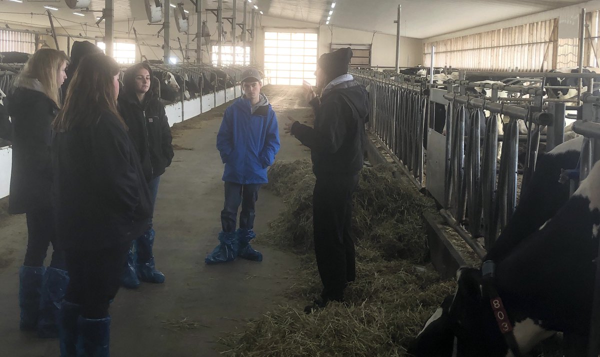 There is always one farm visit each year where it all comes together perfectly. Today was that day. Amazing opportunity to talk and see at Conlee Dairy. Dairy feed specialist Steve Todd was there along with farmers Alanna and Ralph. Big thanks. <a href="/NorwellDSS/">Norwell DSS</a>