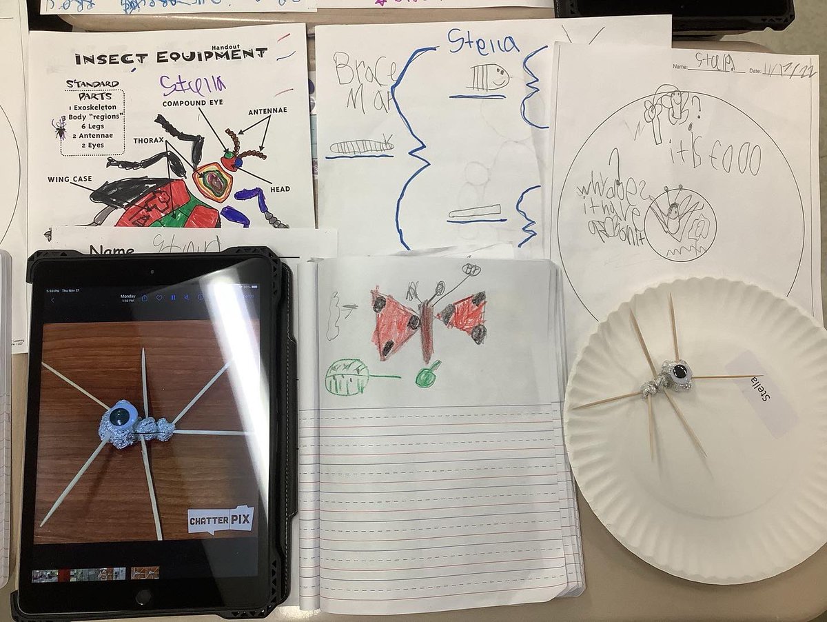 wvrstem's tweet photo. First Grade STEM fair projects-Insects https://t.co/4yuvEt21ae