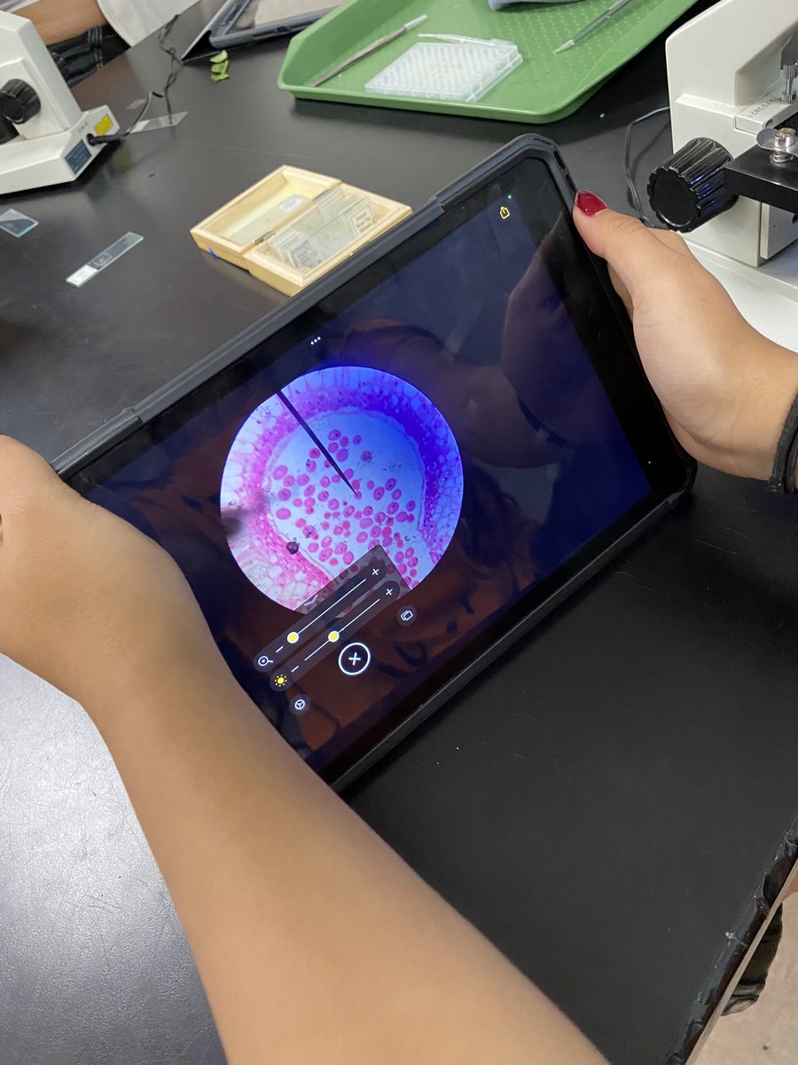 macias_science's tweet photo. Looking at stomata on spinach leaves & picking up some microscope skills & taking a look at the symbiotic relationship of the micro organisms inside of termites guts #elmtritons 🔬🦠🍃🪵 https://t.co/3CvEcasAFw