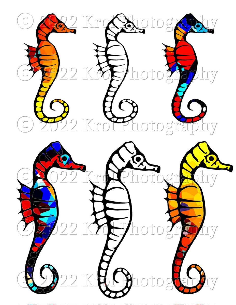 KrolPhotography's tweet image. Finalized custom Seahorse tattoo designs I was designing per a request.  #Seahorse #seahorsetattoo #seahorsedesign #tattoo #tattooideas #artwork
