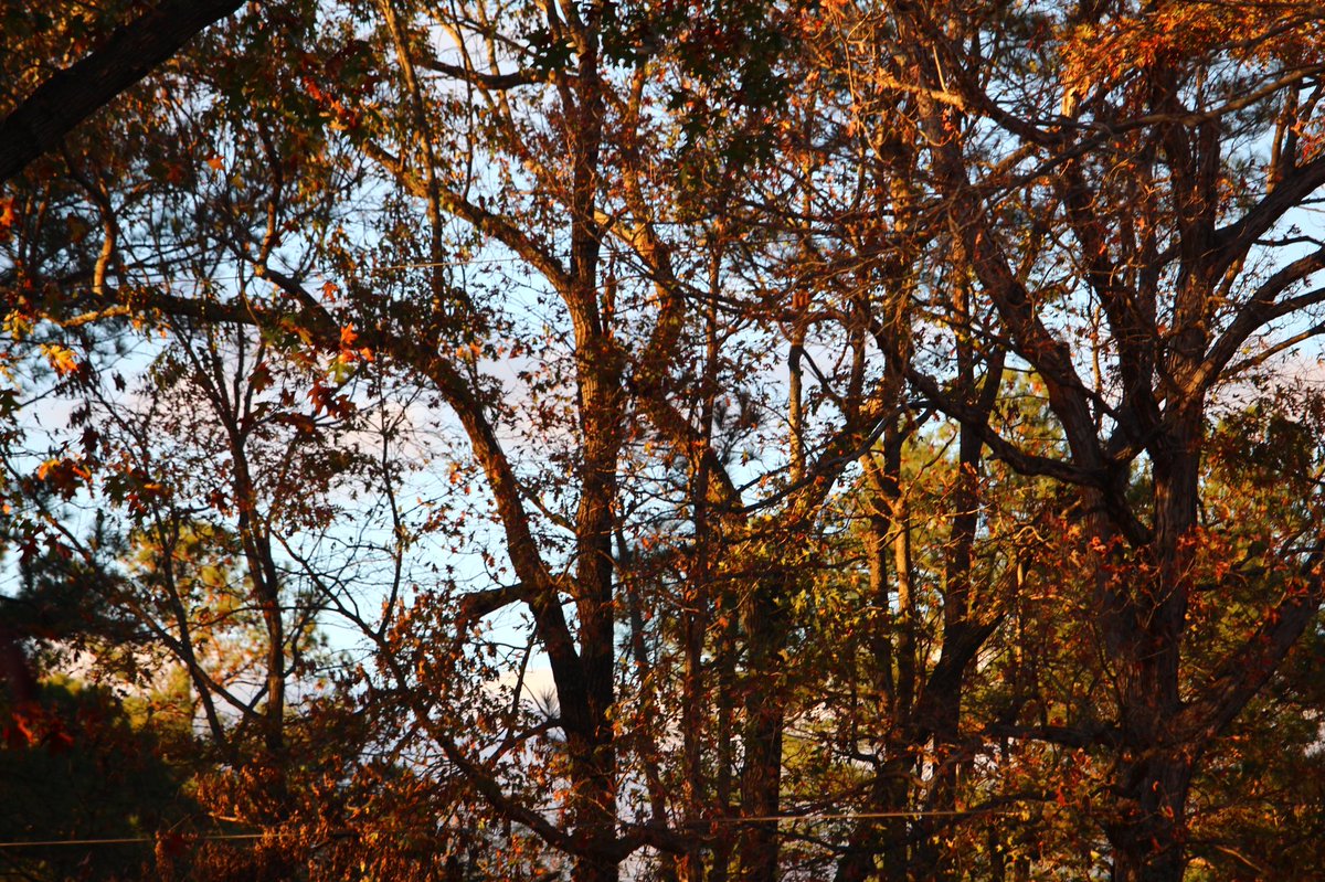 marti (@marsh_1406) on Twitter photo 