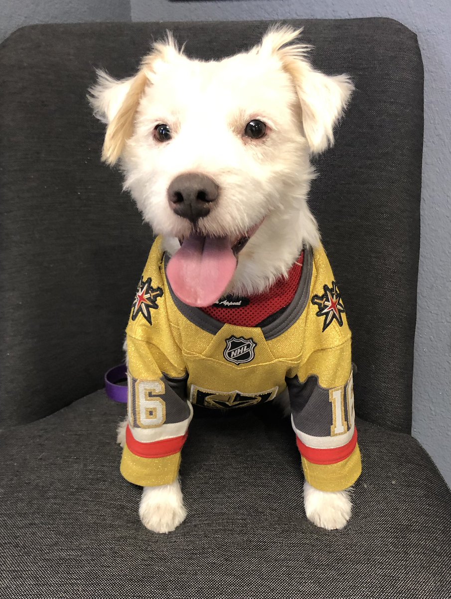 DekeHenriFurry's tweet photo. I’m ready for the hockey!
#GoKnightsGo 
#VegasBorn 
#ARIvsVGK https://t.co/qRvsu4JSgo