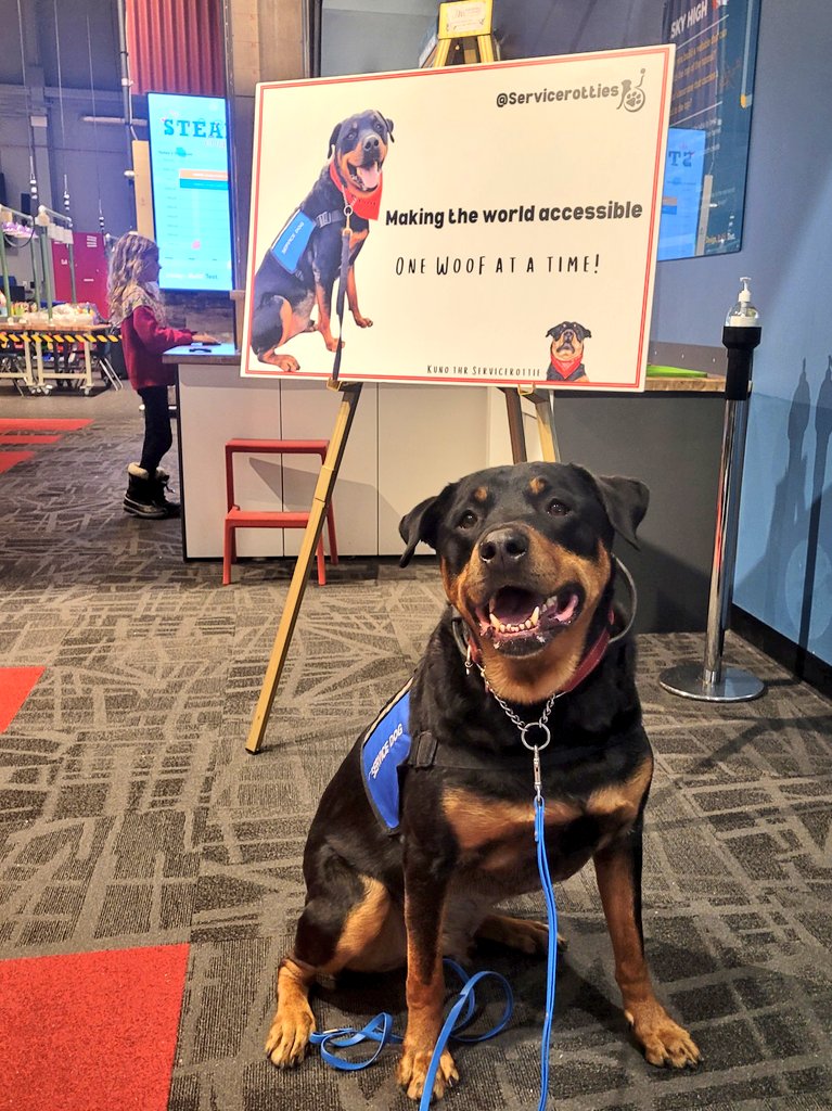 servicerotties's tweet photo. I'm super excited to be part of the #TelusWorldOfScience #DarkMattersYeg event tonight! We're going to woof about barriers to accessibility and give humans some paws on experiences!
#Servicedog #accessibility #yeg https://t.co/qyvRwFac6y