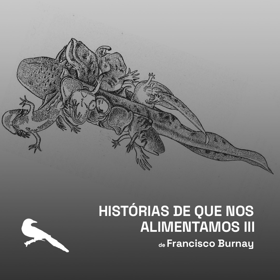 A_Gralha_'s tweet photo. Lê o artigo «Histórias de Que Nos Alimentamos III» de Francisco Burnay em A Gralha.
https://t.co/6p4vEIgjlq

#RupertBlue #JosephGoldberger #TrofimLysenko #epidemia #pelagra #ergotismo #ciencia #saúde #séculoXX #revista #politica #AGralha #Portugal #EUA #Europa https://t.co/PEHVvvROa9