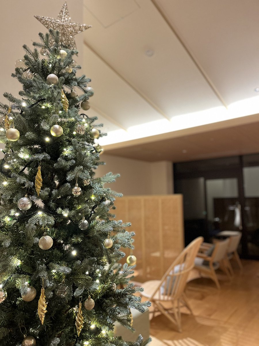 etajimasou's tweet photo. 江田島荘
2夜限定クリスマス特別プラン
ご予約スタート
詳細は江田島荘公式サイトにて🎄

https://t.co/C14fAQXzUY

#クリスマス #ディナー #クリスマスプレゼント #生演奏　#江田島 https://t.co/UIb4dzllPP