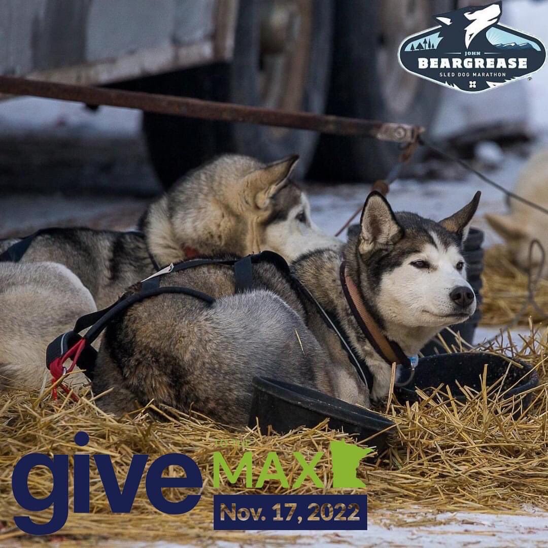 Beargrease Sled Dog Marathon tweet media