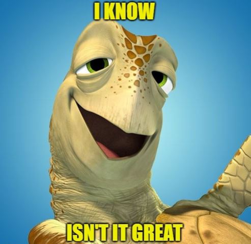 electionsvic's tweet image. Remember, you don't need a reason to vote early. We've increased the number of locations and extended voting hours. So don't miss those gnarly waves or weekends away. Head to social.vec.vic.gov.au/lvtned to find your nearest early voting centre #EarlyVotingOpen #SurfsUp 🏄‍♀️