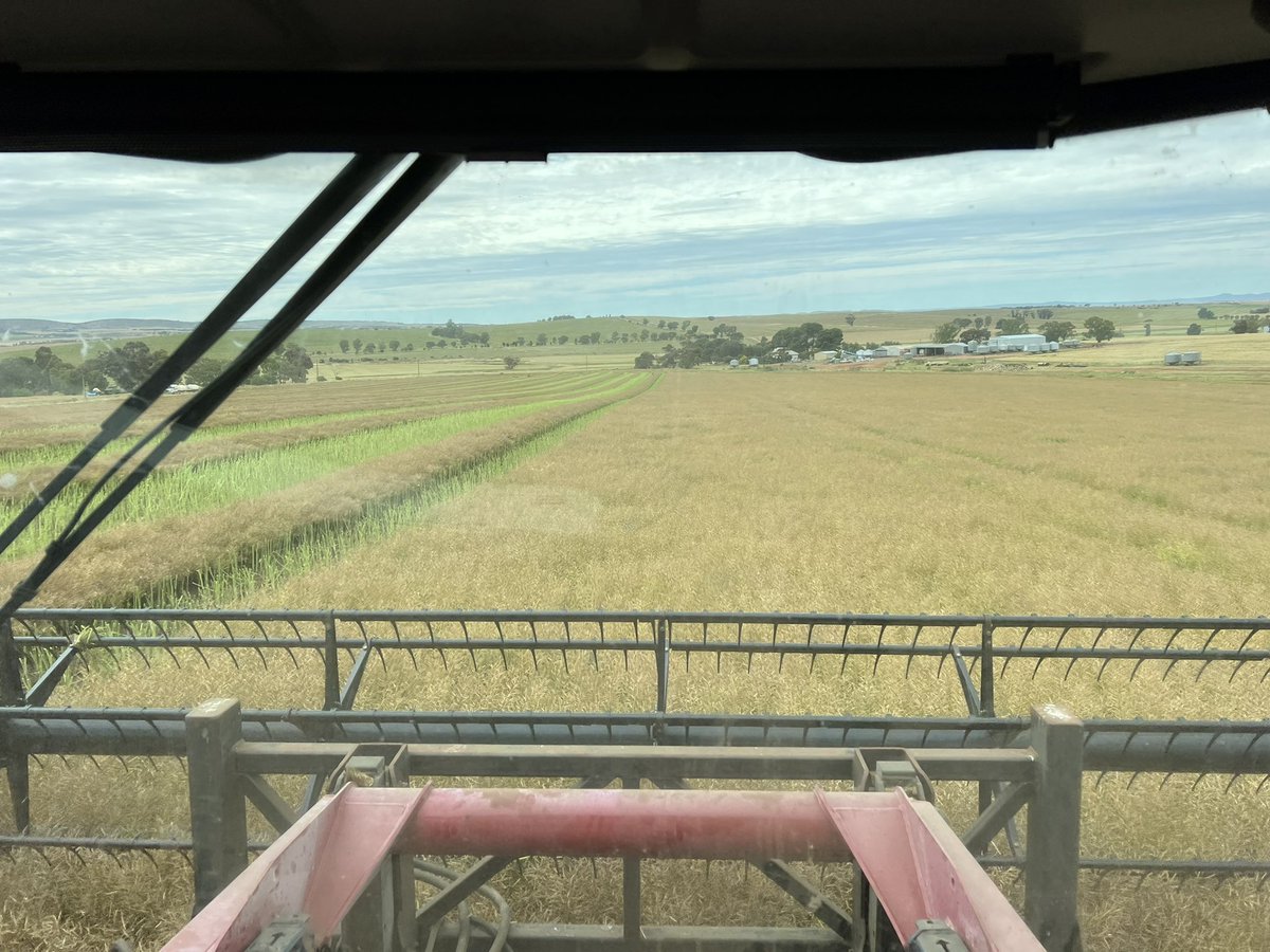 Sam Branson tweet media