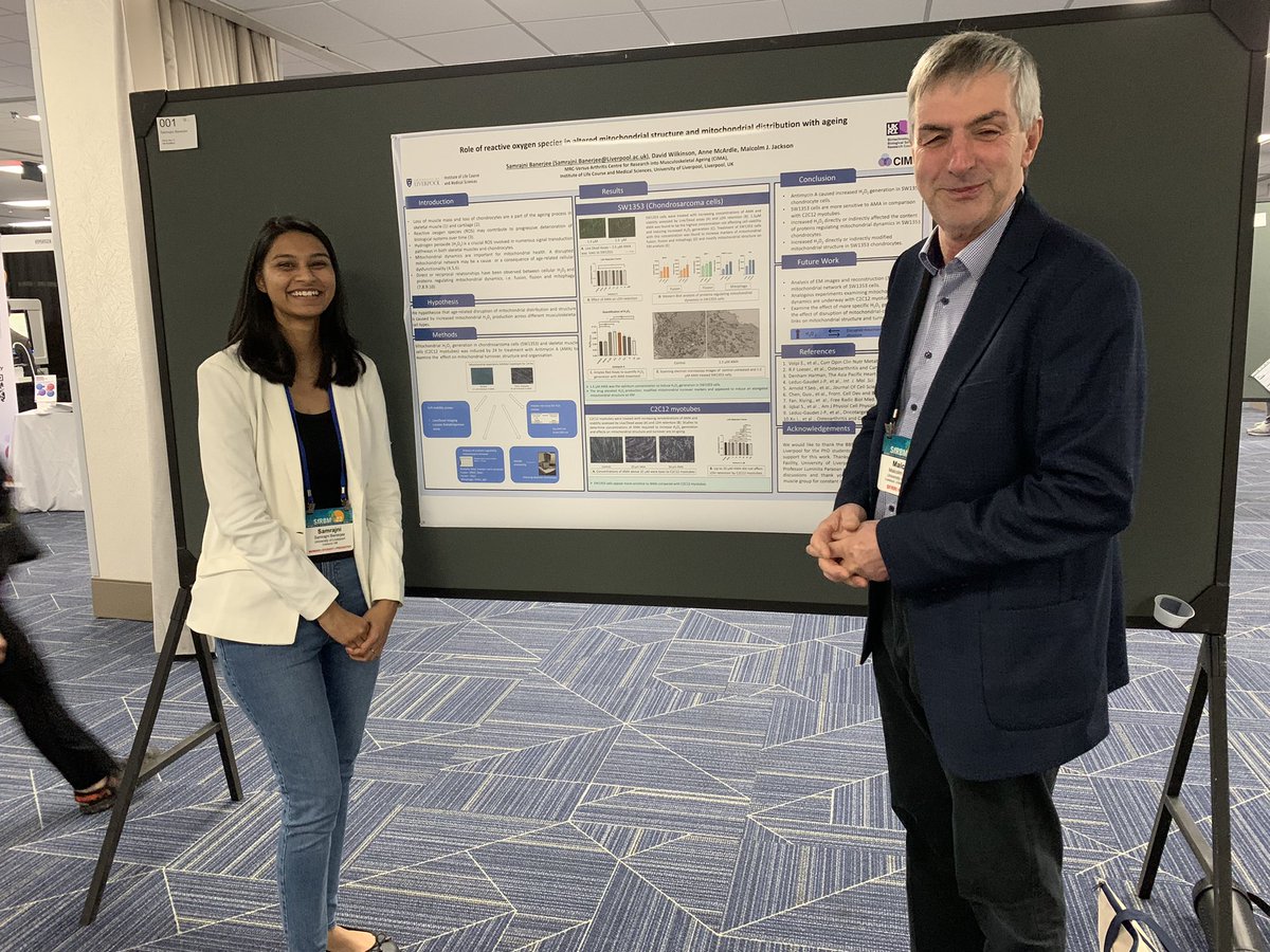 Anne McArdle (@anne91011) on Twitter photo Very proud of our youngest PhD student <a href="/BanerjiSamrajni/">Samrajni Banerjee</a> presenting her work on mitochondria dynamics and ROS generation in chondrocytes and myotubes <a href="/SFRBM/">SFRBM</a>. <a href="/DWilkinson_Lab/">David Wilkinson</a> @malcolm_mjj <a href="/LivuniILCaMS/">Institute of Life Course and Medical Sciences</a> Very proud of our youngest PhD student <a href="/BanerjiSamrajni/">Samrajni Banerjee</a> presenting her work on mitochondria dynamics and ROS generation in chondrocytes and myotubes <a href="/SFRBM/">SFRBM</a>. <a href="/DWilkinson_Lab/">David Wilkinson</a> @malcolm_mjj <a href="/LivuniILCaMS/">Institute of Life Course and Medical Sciences</a>