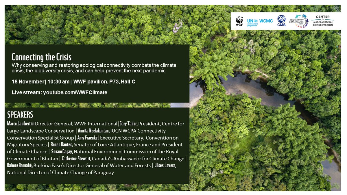 Center for Large Landscape Conservation (@largelandscapes) on Twitter photo If you are at <a href="/COP27P/">COP27</a>, please join us for this discussion on how connecting landscapes helps combat the climate crisis!
Friday, 18 Nov, 10:30 am local time, <a href="/WWF/">WWF</a> Pavilion.
<a href="/wildcatalyst/">Gary Tabor</a> <a href="/amster04/">Amrita Neelakantan</a> If you are at <a href="/COP27P/">COP27</a>, please join us for this discussion on how connecting landscapes helps combat the climate crisis!
Friday, 18 Nov, 10:30 am local time, <a href="/WWF/">WWF</a> Pavilion.
<a href="/wildcatalyst/">Gary Tabor</a> <a href="/amster04/">Amrita Neelakantan</a>