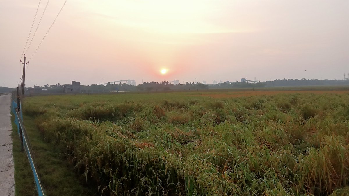 Ashok_0573's tweet photo. @2ssvalentina :
Good morning my sweet love!
Where have disappeared in a feat of  rage ?
Please come back !
Sending you this morning freshness and Rising Sun and tonnes of Vitamin D from India . https://t.co/OpdEDnbqEd
