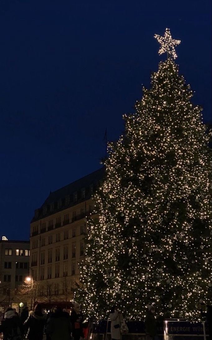 I love everything about Christmas🎄
36 days left :- )